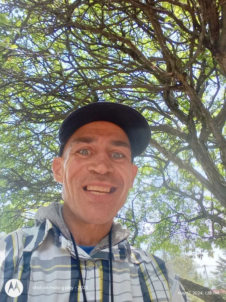 Professional lawn care service for year-round maintenance in Schenectady, NY by Bushwackers