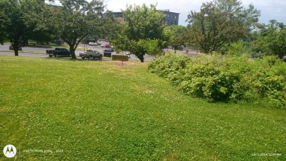 Professional garden landscaping experts serving Schenectady, NY - Bushwackers