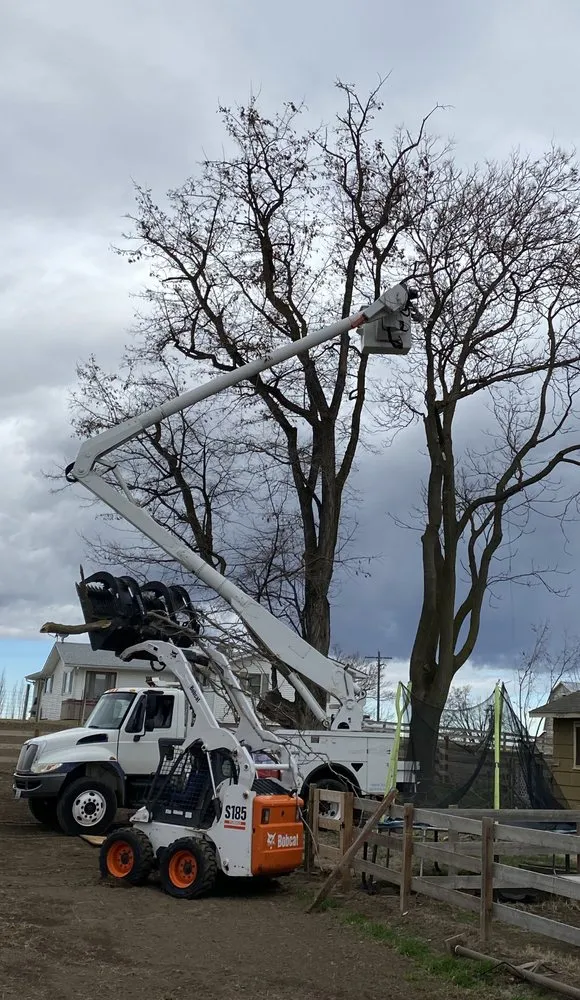 Professional lawn care service for homes across Walla Walla, WA - Bushwhackers Tree Care