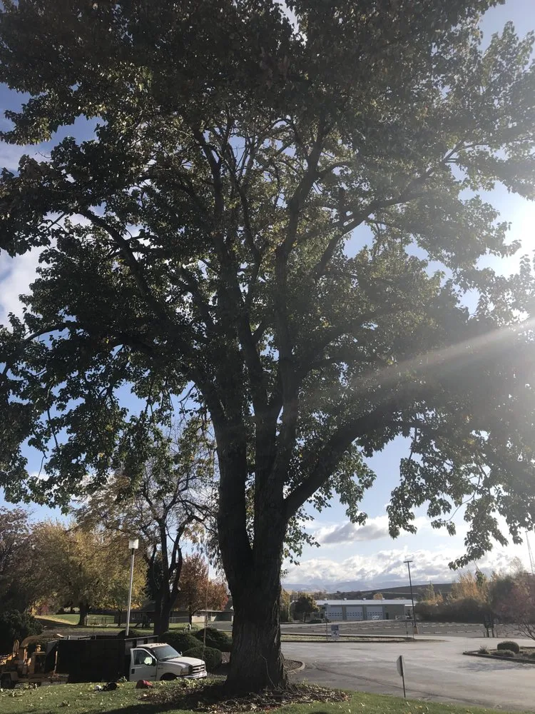 Custom residential landscaping in Walla Walla, WA by Bushwhackers Tree Care