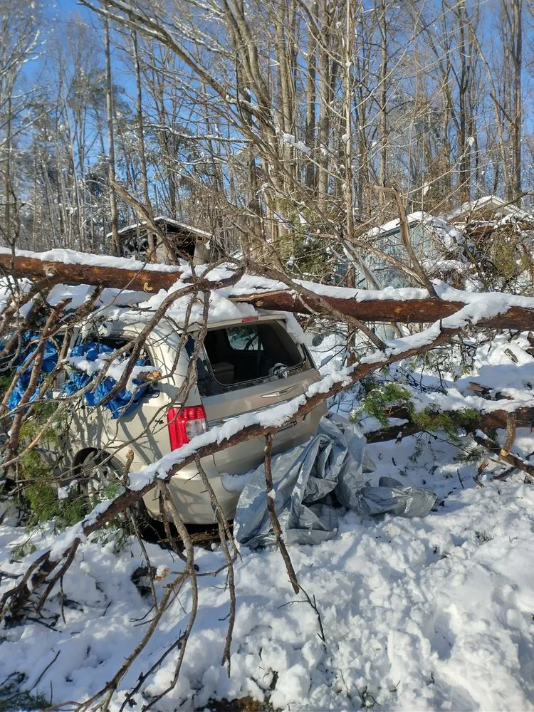 Affordable yard maintenance for homes across Fredericksburg, VA - Bushwhackers Tree Service & Landscaping