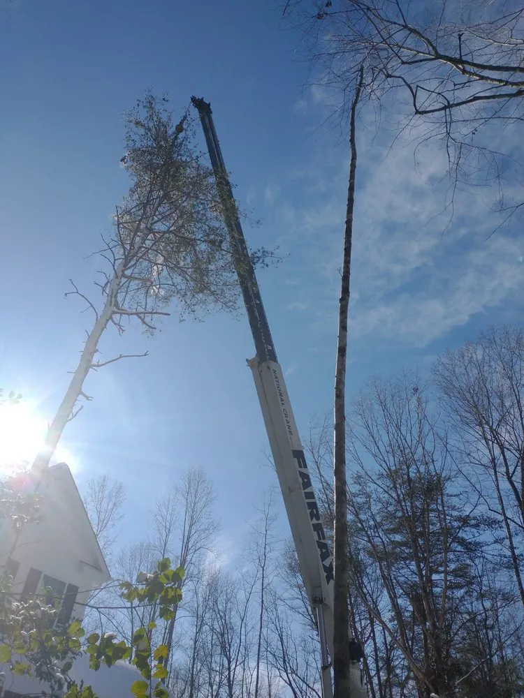 Top-rated yard maintenance in Fredericksburg, VA by Bushwhackers Tree Service & Landscaping