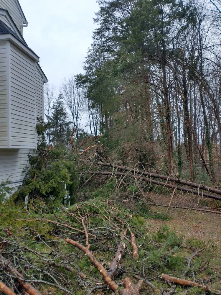 Top-rated landscape design experts serving Fredericksburg, VA - Bushwhackers Tree Service & Landscaping