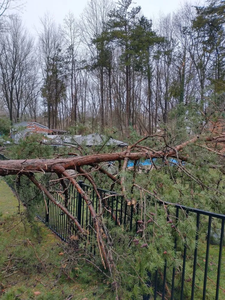 Reliable lawn mowing service in Fredericksburg, VA - Bushwhackers Tree Service & Landscaping