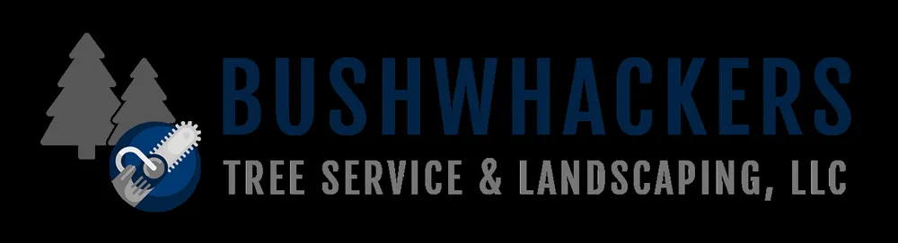 Local lawn mowing service in Fredericksburg, VA by Bushwhackers Tree Service & Landscaping