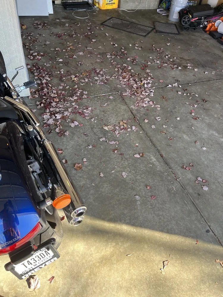 Reliable yard cleanup service experts serving Indianapolis, IN - Business Men