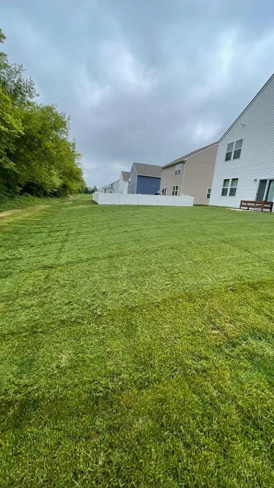 Custom lawn care service in Indianapolis, IN - Business Men