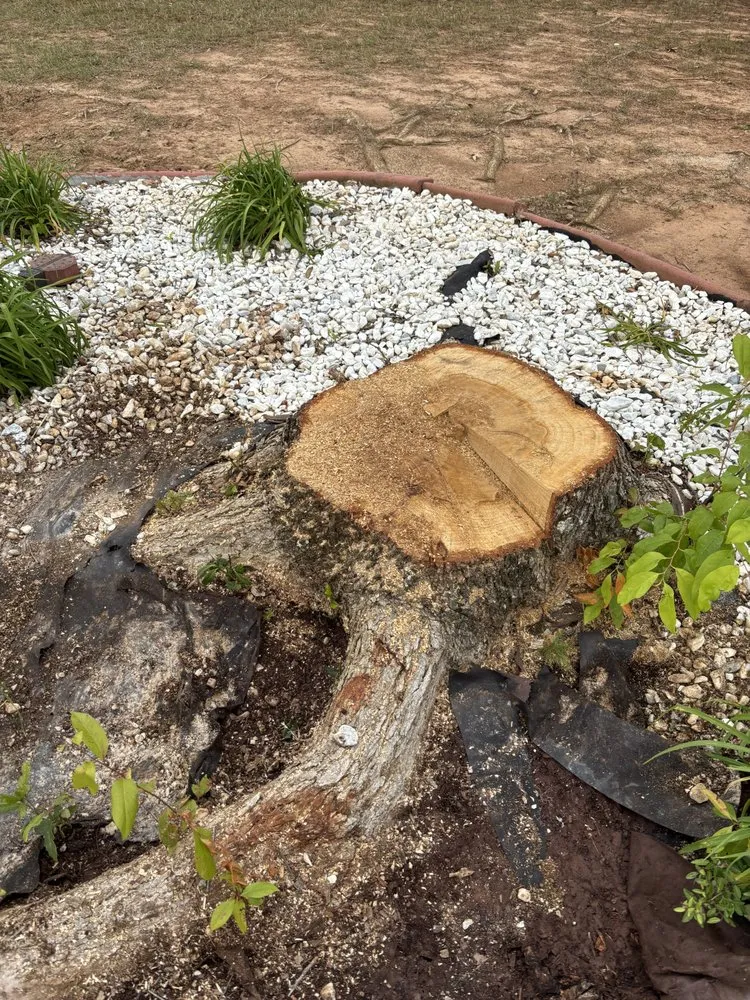 Top-rated lawn care service for beautiful yards in Huntsville, AL by Bust Em Down Tree Services