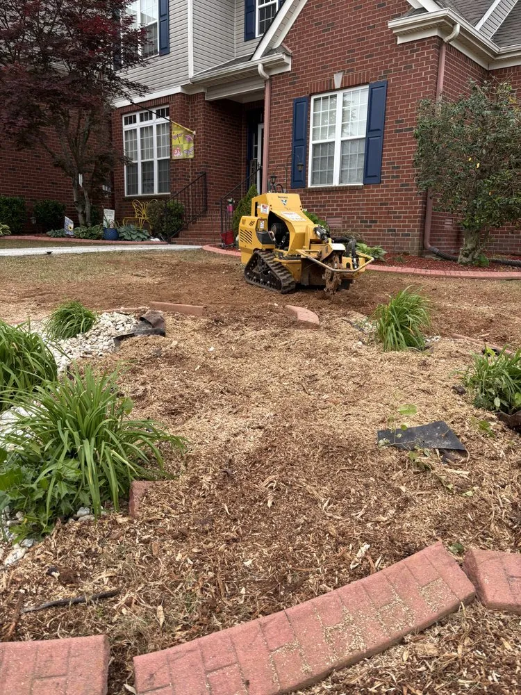 Professional lawn care service experts serving Huntsville, AL - Bust Em Down Tree Services