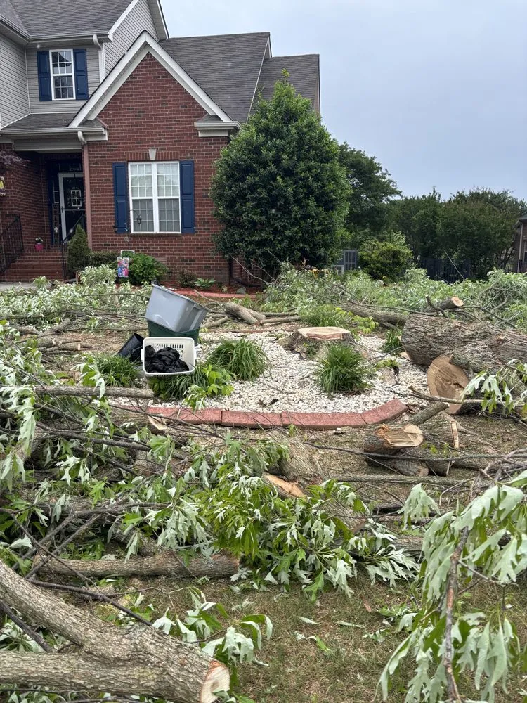 Professional lawn care service for year-round maintenance in Huntsville, AL by Bust Em Down Tree Services