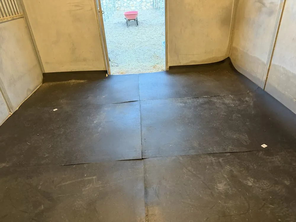 Top-rated residential landscaping in El Paso, TX by Bustamante industries