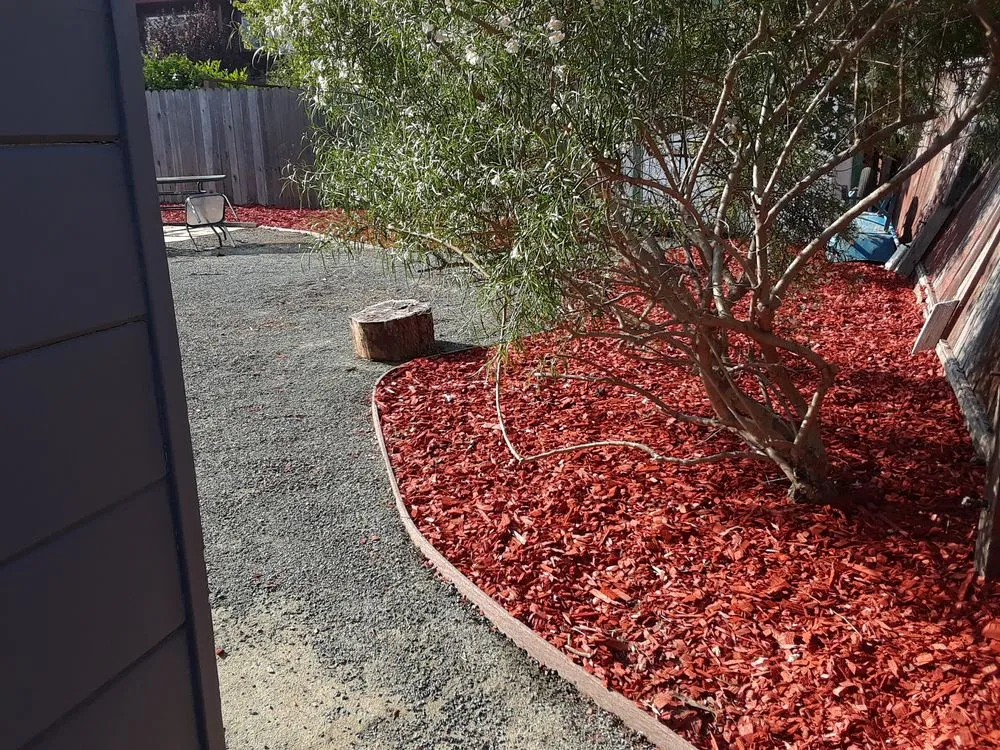 Top-rated yard maintenance in El Cerrito, CA - Bustani Gardening Services