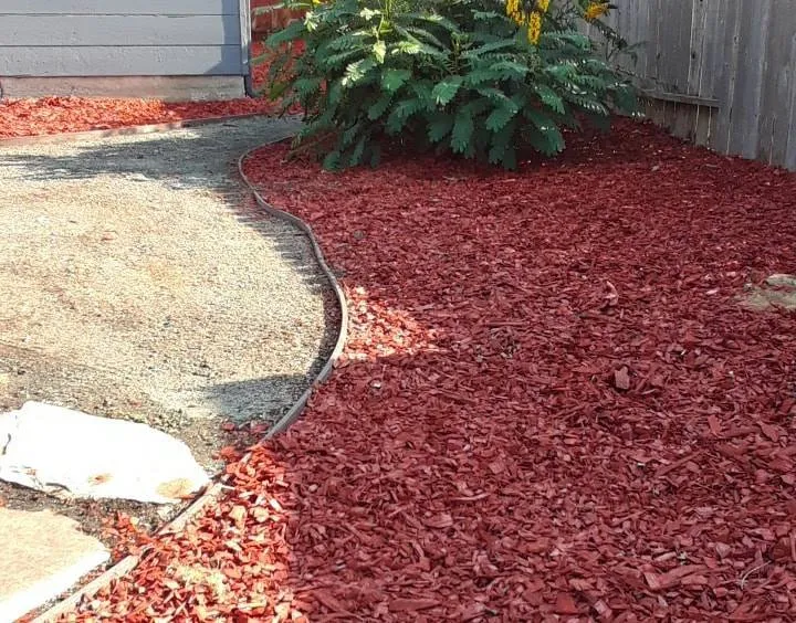 Custom lawn care service with custom design in El Cerrito, CA by Bustani Gardening Services