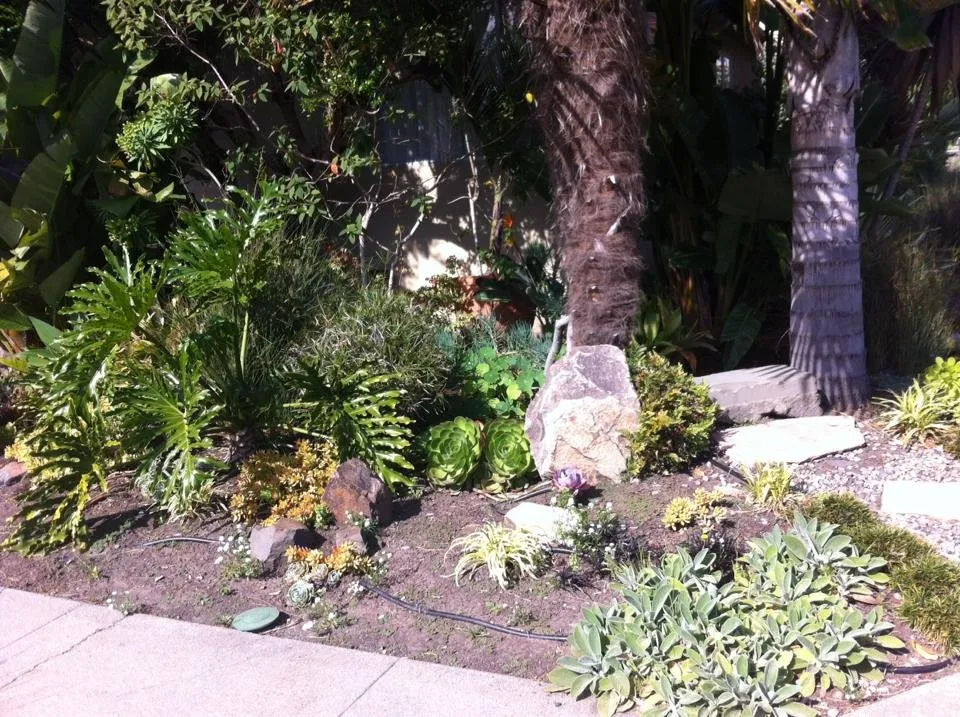 Affordable landscaping services experts serving El Cerrito, CA - Bustani Gardening Services
