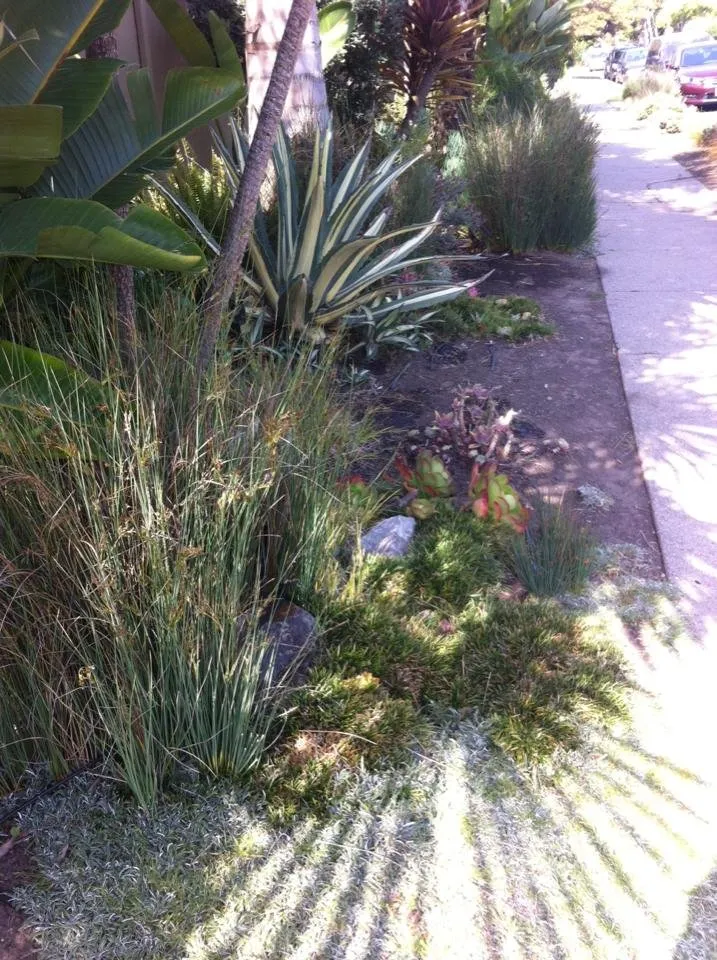 Expert residential landscaping for outdoor upgrades in El Cerrito, CA by Bustani Gardening Services