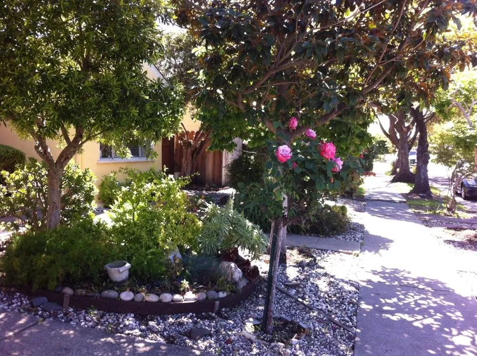 Professional outdoor landscaping in El Cerrito, CA by Bustani Gardening Services