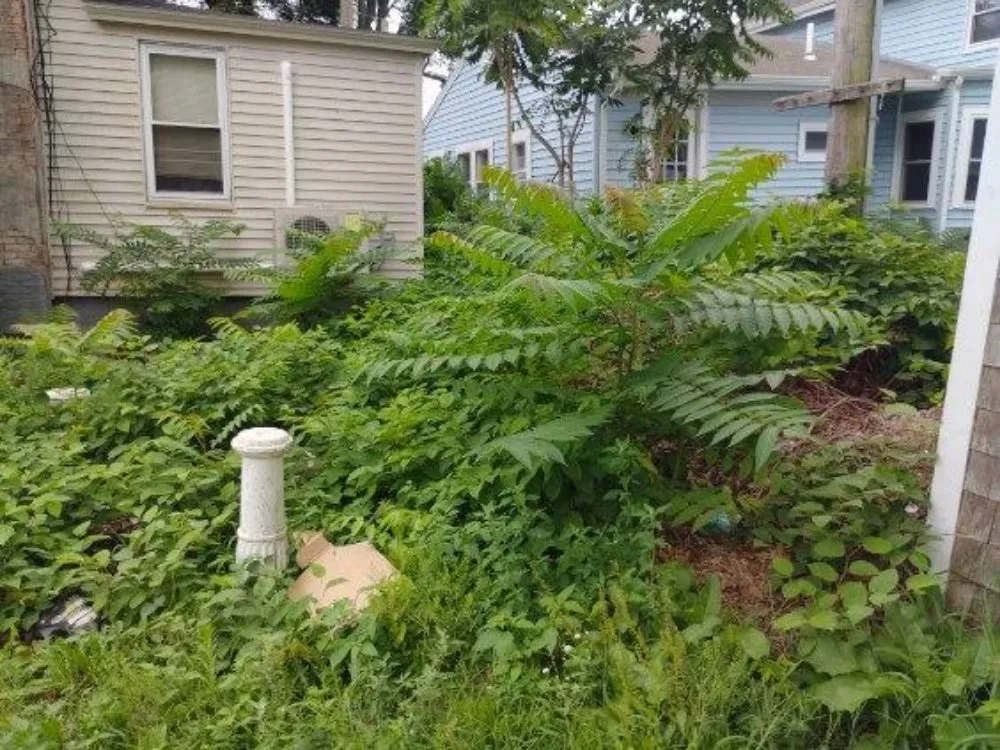 Professional lawn care service in Plymouth, MA - Bustard Boys