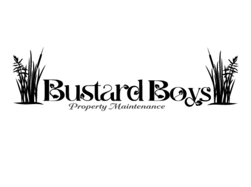 Affordable yard cleanup service in Plymouth, MA - Bustard Boys