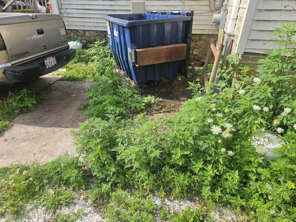 Top-rated lawn mowing service in Plymouth, MA by Bustard Boys