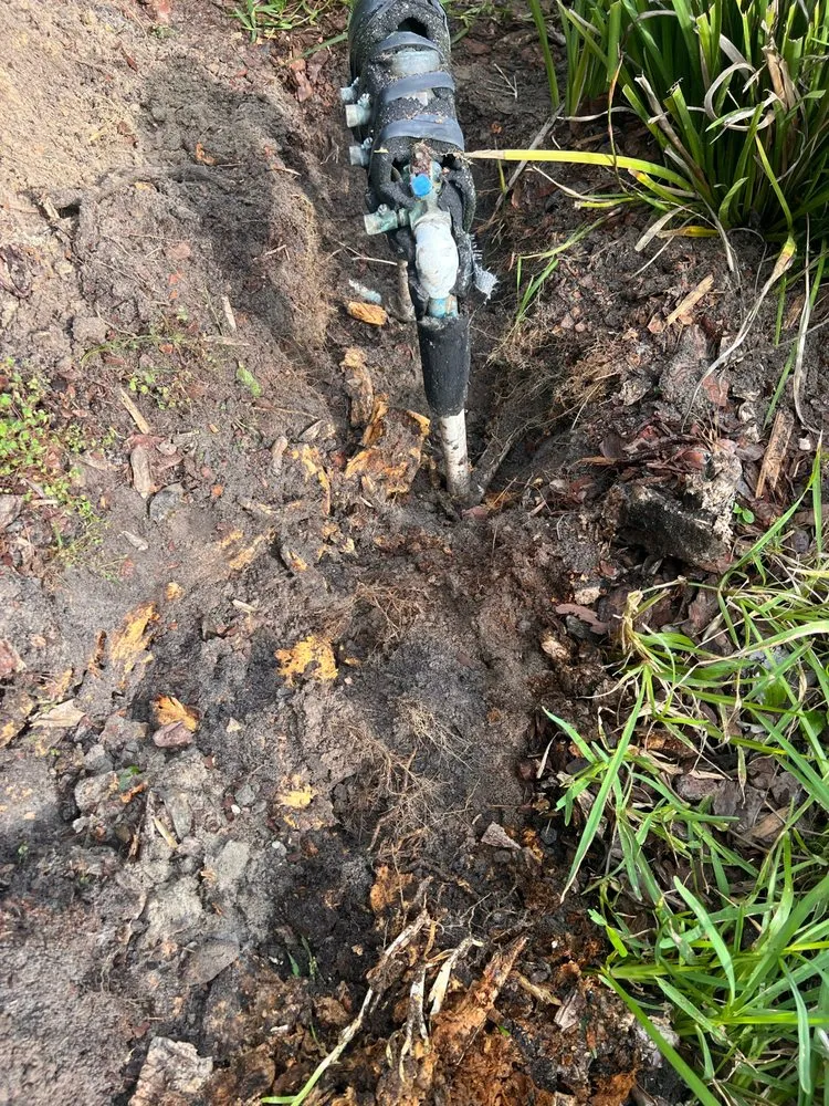 Affordable outdoor landscaping for year-round maintenance across Jacksonville, FL - Busted Heads Sprinkler Repair & Maintenance