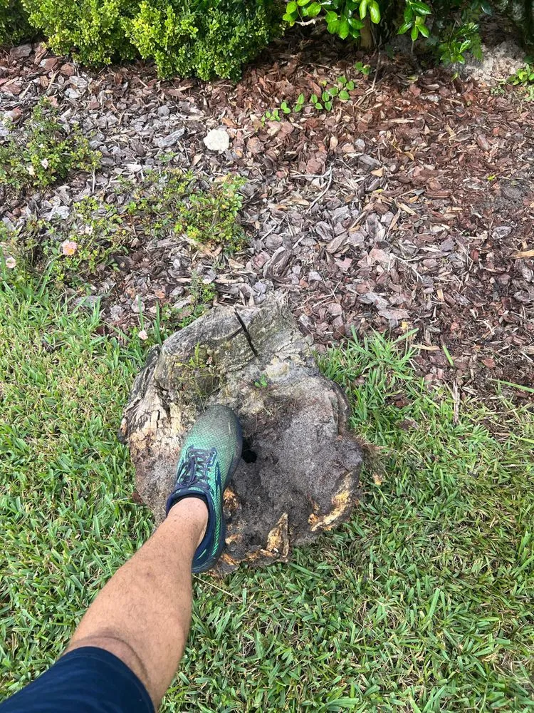 Professional lawn mowing service in Jacksonville, FL by Busted Heads Sprinkler Repair & Maintenance