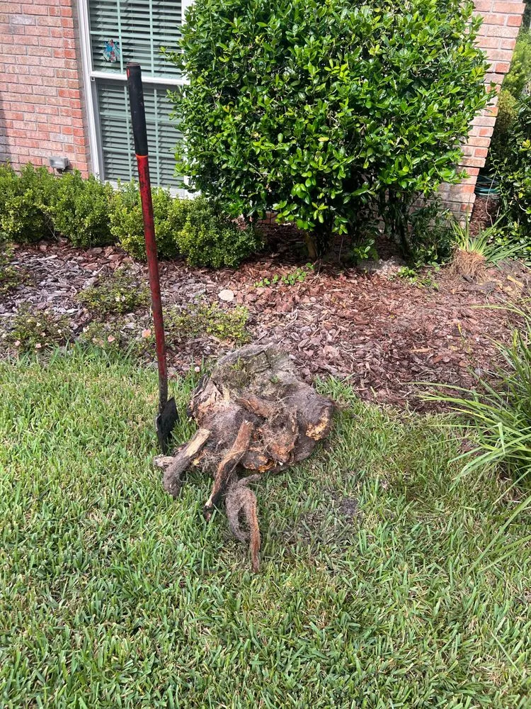 Custom garden landscaping experts serving Jacksonville, FL - Busted Heads Sprinkler Repair & Maintenance