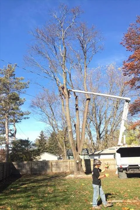 Trusted landscape design in Sandwich, IL by Busted Knuckles Landscaping