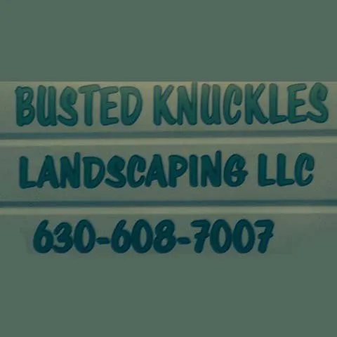 Affordable yard cleanup service for beautiful yards in Sandwich, IL by Busted Knuckles Landscaping