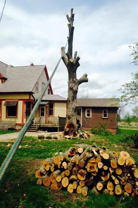 Custom garden landscaping for year-round maintenance in Sandwich, IL by Busted Knuckles Landscaping