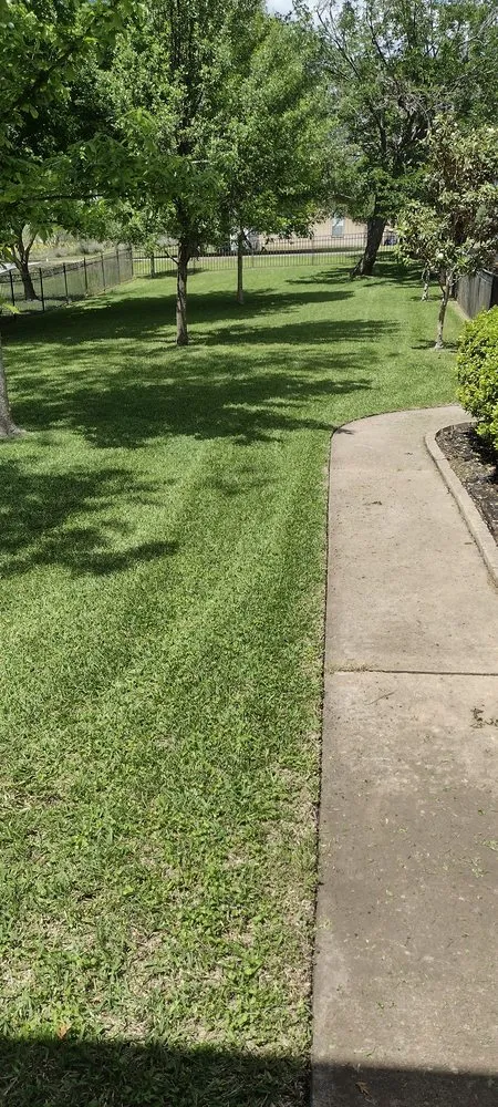 Professional lawn mowing service in Kempner, TX - Busters Lawn Service