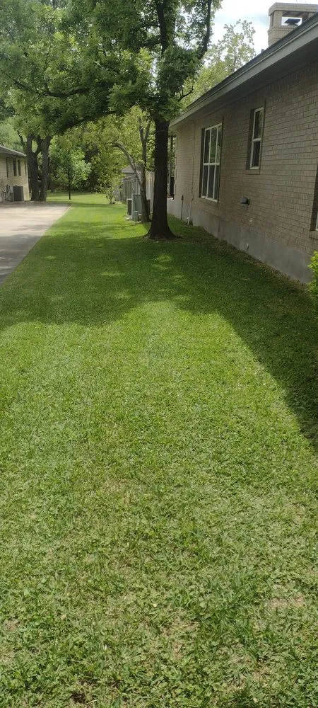Custom yard cleanup service for homes in Kempner, TX by Busters Lawn Service