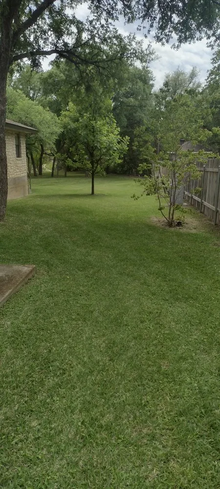 Expert yard cleanup service experts serving Kempner, TX - Busters Lawn Service