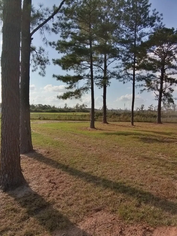 Affordable outdoor landscaping in Laurel, MS - Buster's Lawncare & Mower