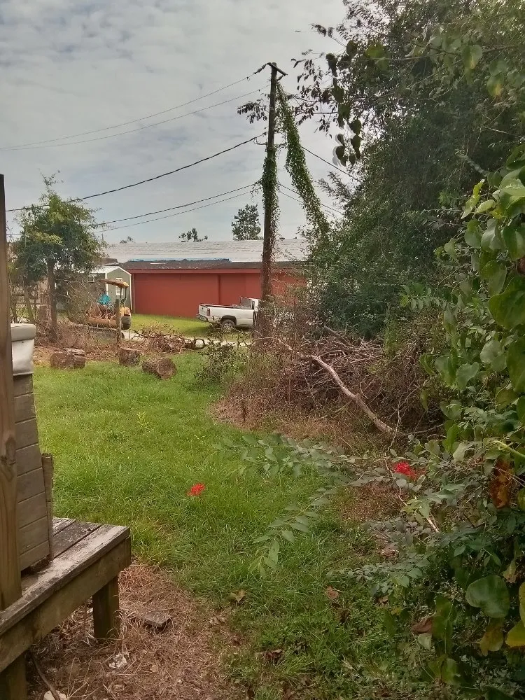 Expert yard cleanup service experts serving Laurel, MS - Buster's Lawncare & Mower