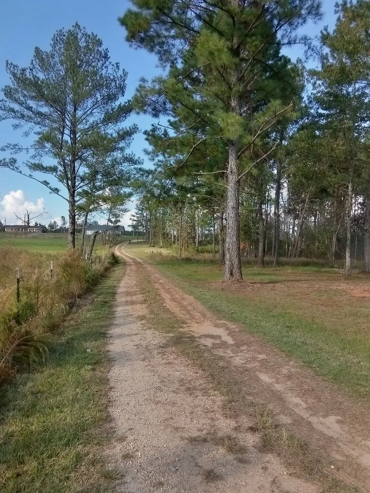 Local lawn care service in Laurel, MS by Buster's Lawncare & Mower