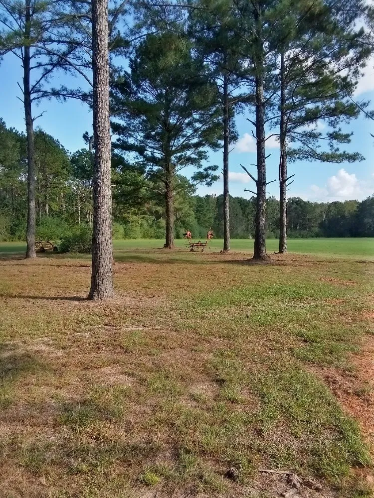 Professional landscape design in Laurel, MS - Buster's Lawncare & Mower