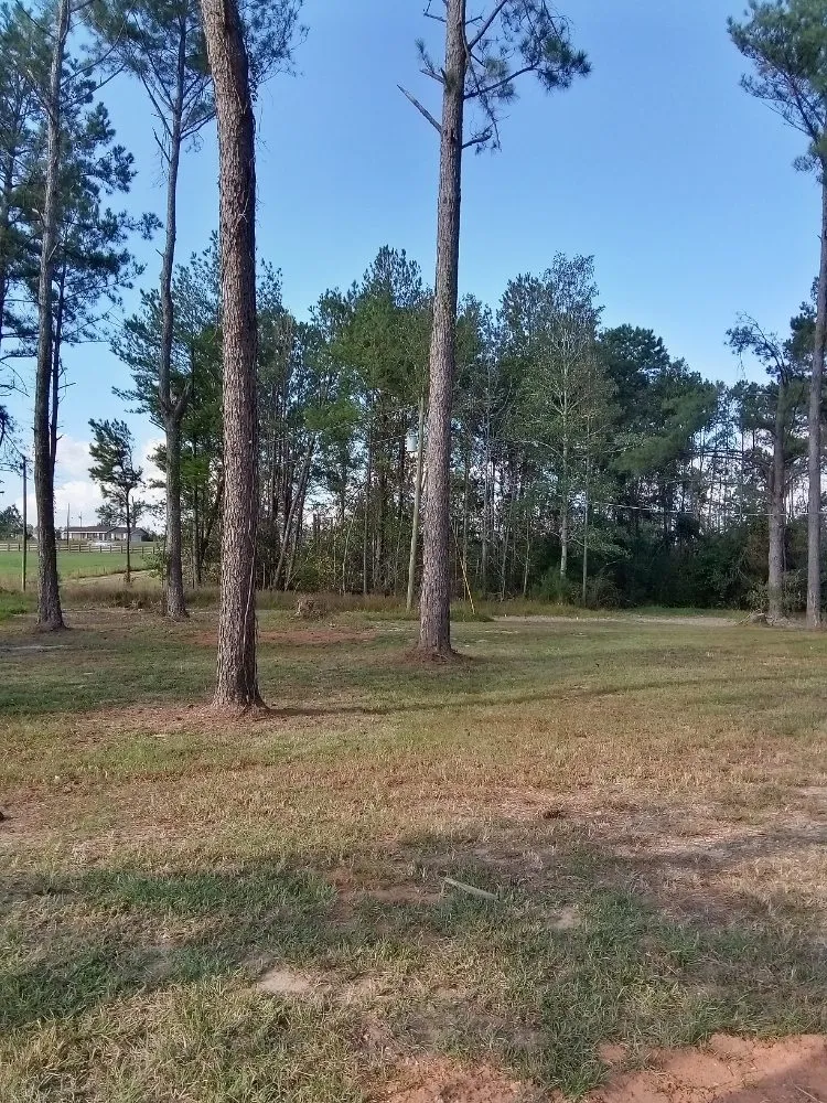 Expert lawn mowing service experts serving Laurel, MS - Buster's Lawncare & Mower