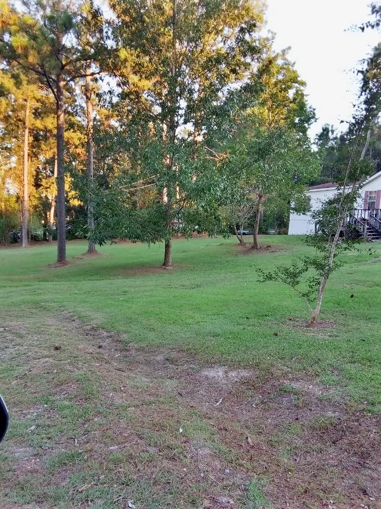 Affordable landscape design with custom design across Laurel, MS - Buster's Lawncare & Mower