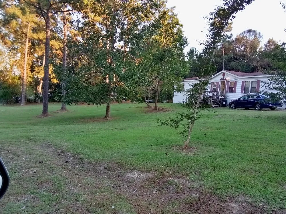 Reliable landscape design experts serving Laurel, MS - Buster's Lawncare & Mower