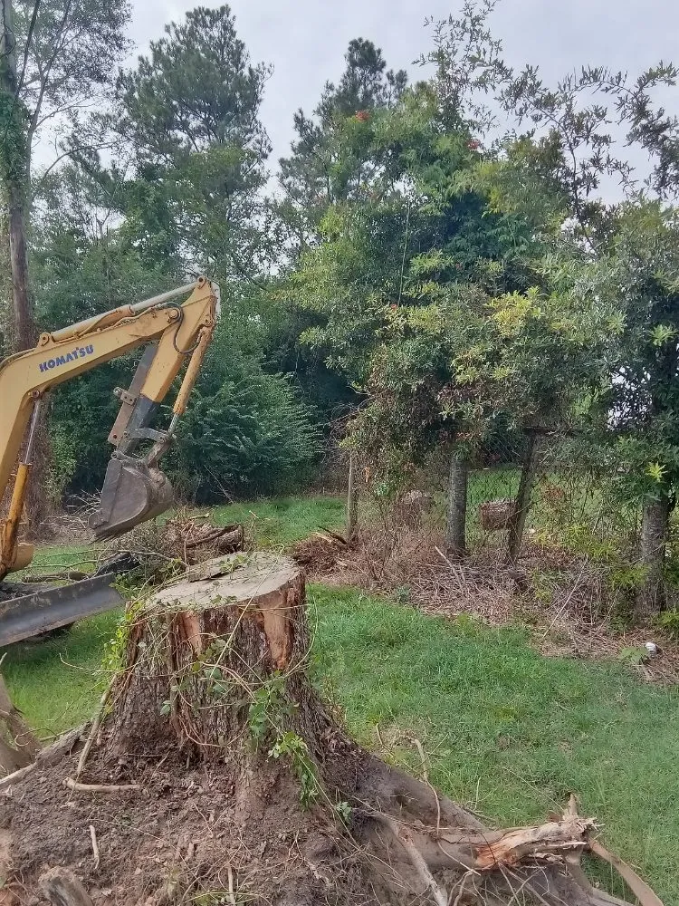 Top-rated outdoor landscaping in Laurel, MS by Buster's Lawncare & Mower