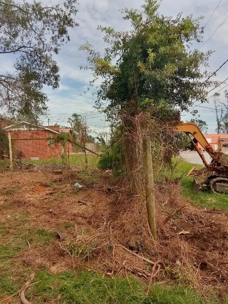 Affordable landscape design in Laurel, MS - Buster's Lawncare & Mower