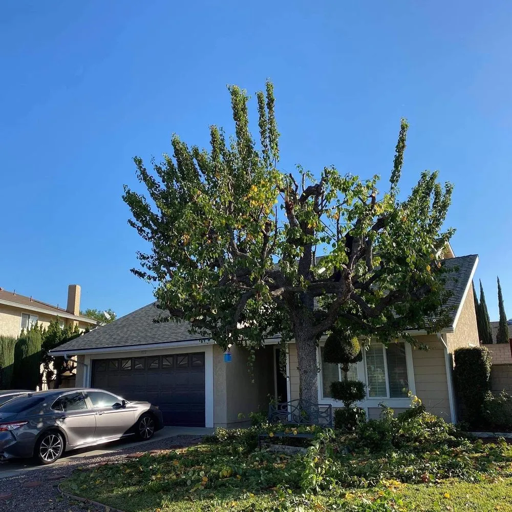 Expert lawn mowing service for outdoor upgrades across Montclair, CA - Bustos Landscaping