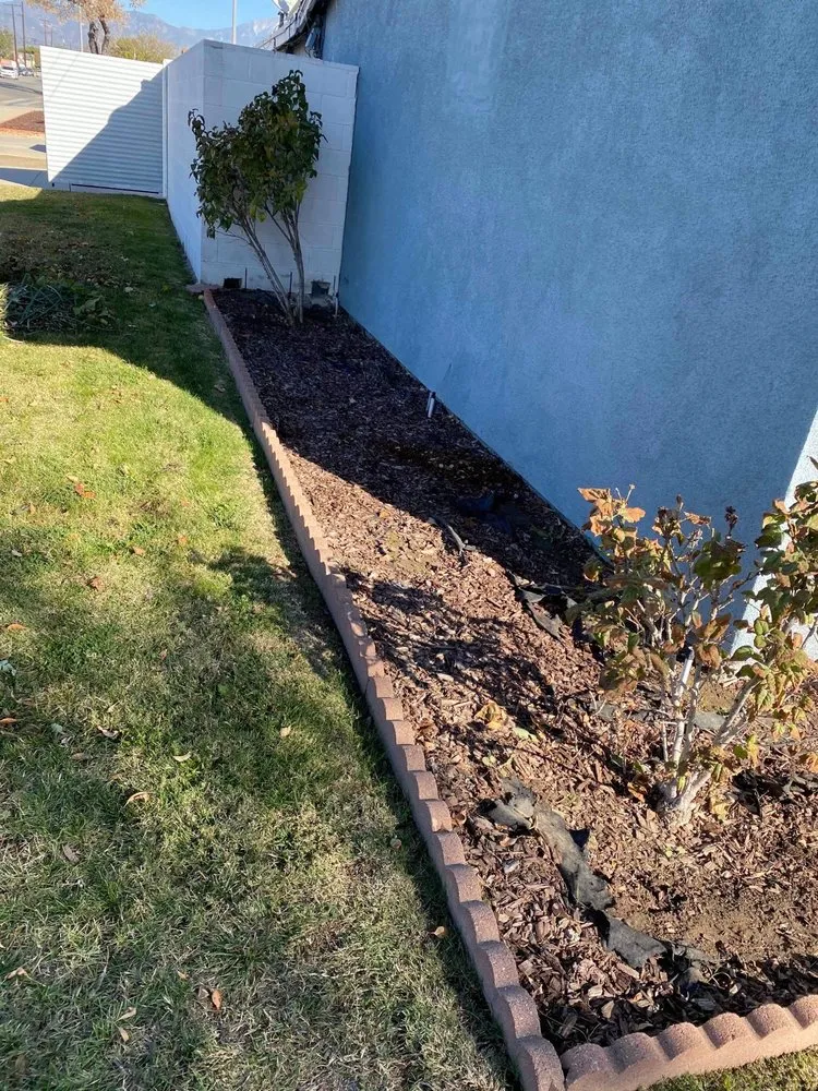 Expert yard cleanup service in Montclair, CA - Bustos Landscaping