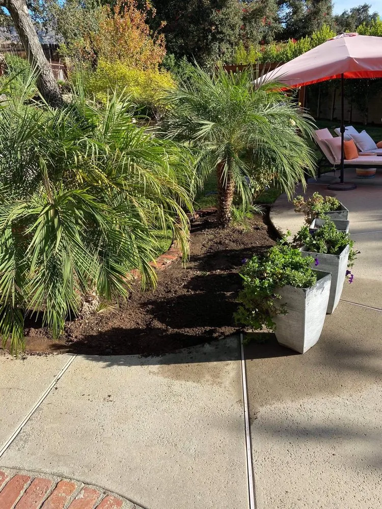 Trusted landscape design with custom design in Montclair, CA by Bustos Landscaping