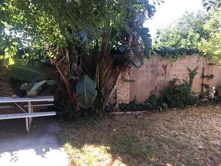 Local yard maintenance experts serving Montclair, CA - Bustos Landscaping