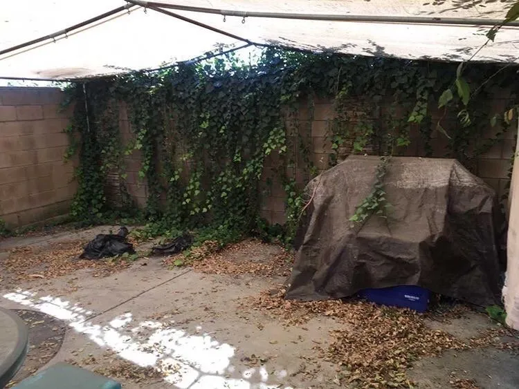 Top-rated landscaping services for homes in Montclair, CA by Bustos Landscaping