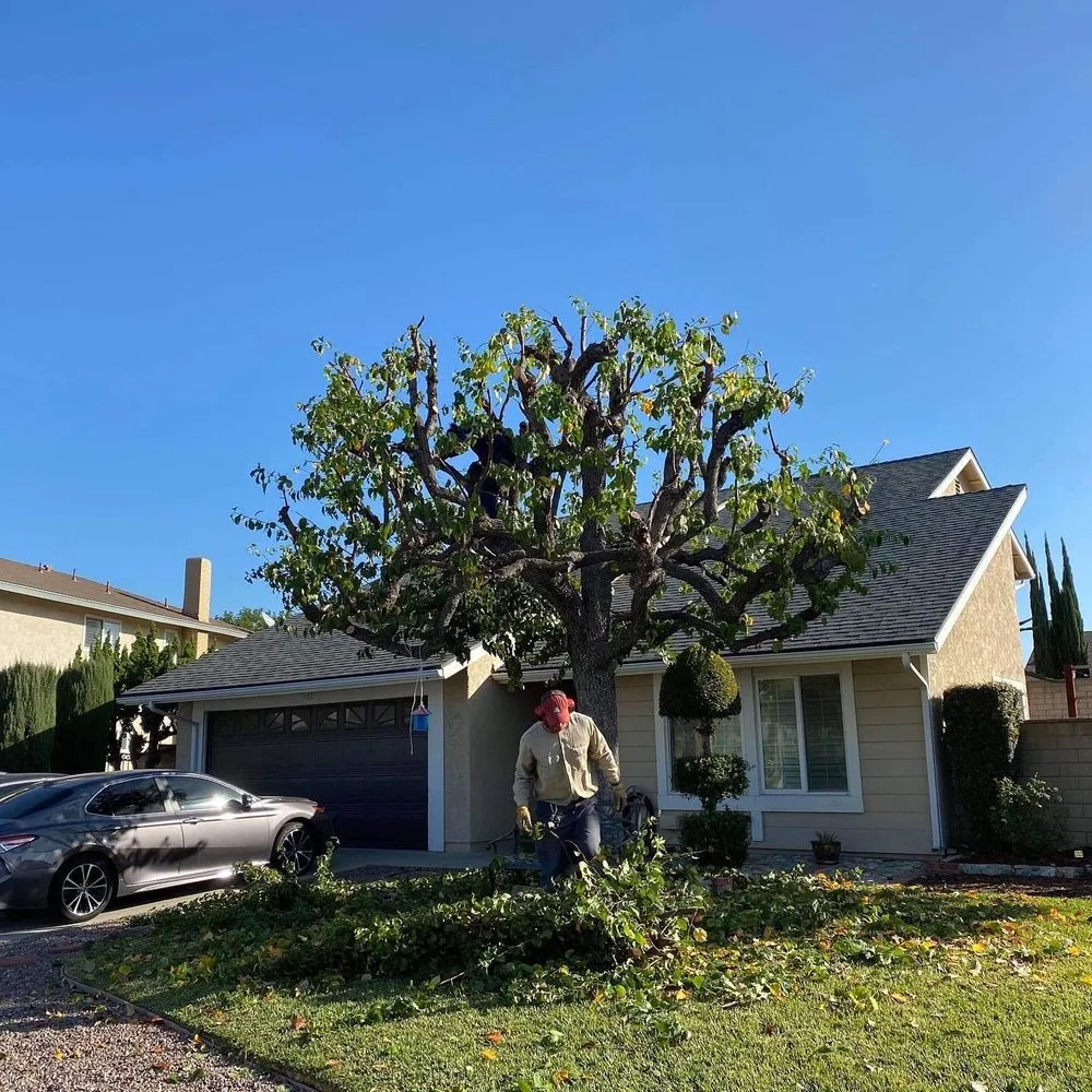 Trusted yard maintenance experts serving Montclair, CA - Bustos Landscaping