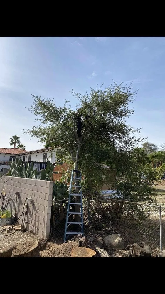 Expert outdoor landscaping in Montclair, CA - Bustos Landscaping