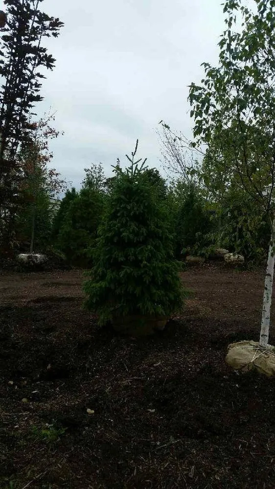 Trusted garden landscaping experts serving Fond Du Lac, WI - Busy Acres Nursery Sales & Transplanting