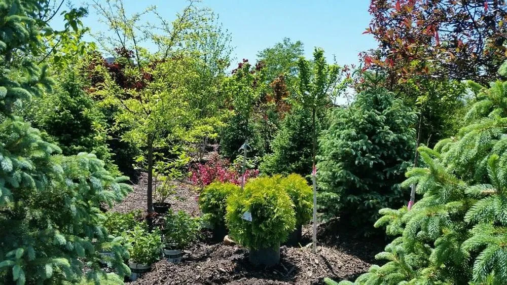 Expert outdoor landscaping for residential properties in Fond Du Lac, WI by Busy Acres Nursery Sales & Transplanting